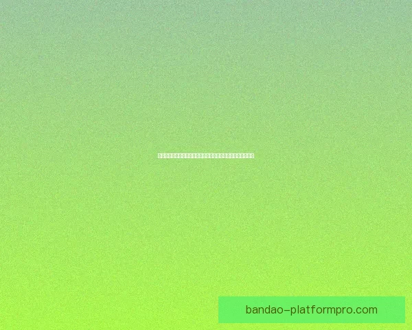 卢指导专注于比赛执教不纠结小卡与加兰出场时间限制赛场复盘